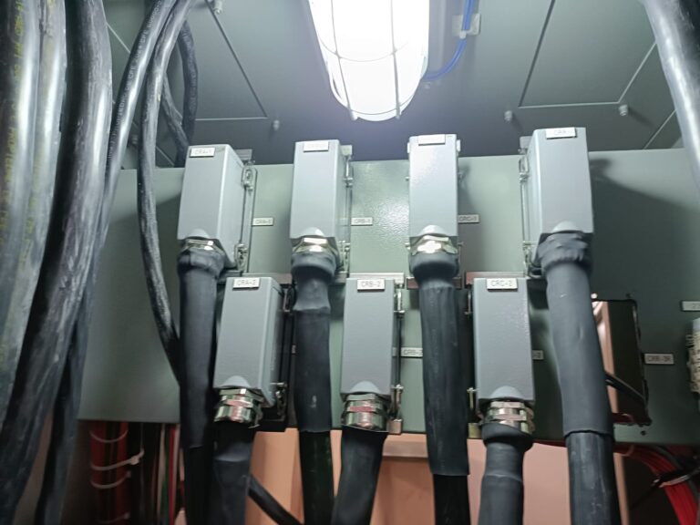 WhatsApp Image 2025-06-02 at 1.29.07 PM